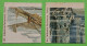 PORTE-TIMBRE France 1370 Et 1092 Yvert & Tellier 2010 - SAINT LEGER CARABANA - Fragment Imprimé Sans Timbre / COTE 70€ - Ohne Zuordnung