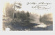 Forest, River, Moose, Finland 1905 Used Real Photo Postcard From Tampere To Worcester, Massachusetts, USA - Finlande