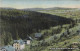Ansichtskarte Schellerhau-Altenberg (Erzgebirge) Gut Schellermühle 1915 - Schellerhau