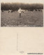Ansichtskarte  Herbstweide (Koitsch) 1927  - A Identificar