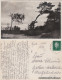 Postcard Stolpmünde Ustka Durchblick Aufs Meer 1931 - Pommern