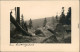 Ansichtskarte  Mittelgebirge Felsen Und Bäume 1936 Privatfoto - Te Identificeren