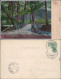 Weimar Künstlerkarte: Naturbrücke Im Park An Der Ilm 1902 Silber-Effekt - Weimar
