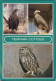 Cottbus Cho&#263;ebuz Tierpark: Steppenadler, Kaiseradler, Steinkauz 1986 - Cottbus