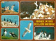 Régions - Bretagne - Oiseaux De La Côte Bretonne - Multivues - CPM - Voir Scans Recto-Verso - Bretagne