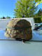 Delcampe - Casque Militaire Allemand - Headpieces, Headdresses
