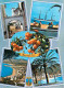 Espagne - Espana - Comunidad Valenciana - Benidorm - Multivues - Oranges - CPM - Voir Scans Recto-Verso - Alicante