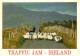 Irlande - Traffic Jam - Moutons - Ireland - CPM - Voir Scans Recto-Verso - Sonstige