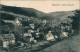 Kipsdorf-Altenberg (Erzgebirge) Blick Auf Fabriken Und Stadt 1927  - Kipsdorf