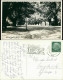 Foto Langebrück-Dresden Lindenalllee 1936 Privatfoto - Dresden