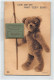 England - BRIGHTON (Sussex) Sachet Postcard - Teddy Bear - Brighton