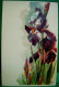 Cpa FLEURS Signée C KLEIN , IRIS MULTICOLORES , ARTIST SIGNED FLOWERS IRISES OLD PC - Klein, Catharina