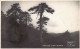 Cyprus - TROODOS - View - REAL PHOTO - Publ. Mangoian Bros.  - Cipro