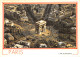 75-PARIS-L ARC DE TRIOMPHE-N°2026-D/0243 - Arc De Triomphe