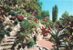 98 MONACO JARDIN EXOTIQUE L ALLEE DES ALOES - Casino