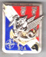8° RPIMa. 8° Régiment Parachutiste D'Infanterie De Marine. BIA. KFOR. Trident. Balme. - Heer