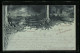 Mondschein-Lithographie Aschaffenburg, Pompejanum  - Aschaffenburg