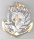 TAP/ TdM. Troupes Aéroportées/ Troupes D'Infanterie De Marine. Insigne De Béret. SM.1535. - Army