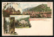 Lithographie Wernigerode A. H., Ferienheim, Steinerne Renne, Schloss, Ortsansicht  - Wernigerode