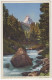 An Der Visp, Das Matterhorn - Au Bord De La Viège - Le Cervin - (Schweiz-Suisse-Switzerland) - Phot. J. Gaberell - Visperterminen