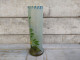 Vase Legras LEG Fleurs Edelweiss - Glas & Kristall