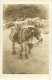 Delcampe - DESTOCKAGE Avant Fermeture Boutique BON LOT 100 CARTES PHOTO    (toutes Scannées ) - 100 - 499 Postcards