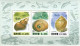 North-Korea MNH Minisheets And SS - Conchas