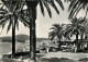 83 - Sainte Maxime Sur Mer - Promenade Sur Le Port - Mention Photographie Véritable - CPSM Grand Format - Carte Neuve -  - Sainte-Maxime