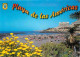 Espagne - Espana - Islas Canarias - Tenerife - Playa De Las Américas - Fleurs - Immeubles - Architecture - CPM - Voir Sc - Tenerife