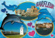 50 - Barfleur - Multivues - Phare - Dauphins - CPM - Voir Scans Recto-Verso - Barfleur