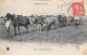 Agriculture - N°80622 - Scène Du Centre - Les Moissonneurs - Boeufs, Et Chevaux - Culture