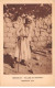 ISRAEL - JERUSALEM - SAN27255 - Vallée De Josaphat - Mendiant Juif - Judaïca - Israel