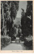 ITALIE - TIVOLI - SAN26908 - Villa D'Este - Tivoli