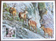 Carte Maximum 2014 Cerfs Hirsche Deer Animal Maxikarte Card Suisse Maxicard - Maximumkarten (MC)