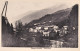1925-ca.-Treppo Carnico, Udine, Panorama Della Cittadina, Non Viaggiata - Udine