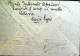 1943-Bollo Circolare Con Grande Fascio Comando Campo Raccolta N.7 E Impronta Mec - Egeo