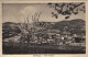 1942-Godiasco Pavia, Panorama Valle Staffora, Viaggiata - Pavia