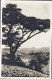 1939-Debra Berhan Un Quadretto D'Africa Cartolina Affrancata Etiopia 20c. - Aethiopien