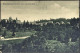 1923-cartolina Boscochiesanuova (Verona) Viaggiata - Verona