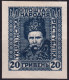 1920/21-Ucraina (MLH=*) 20gr. Non Dentellato - Ucrania