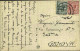1919-Trento E Trieste Cartolina "castello Di Trento Con Stendardo"affr.mista 5c. - Trente & Trieste
