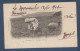 Carte Avec Cachet  MANOUBA  REGENCE DE TUNIS  1902 - Storia Postale