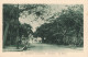 NOUVELLE CALEDONIE - Nouméa - Vue Sur La Rue Palestro - Carte Postale Ancienne - Nouvelle-Calédonie