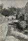 48 - Meyrueis - Vieux Pont Sur Le Bétuzon - Au Fond Le Rocher De La Vierge - Mention Photographie Véritable - Carte Dent - Meyrueis