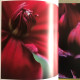 Botanica Muriel Emsens - Editions Fonds Mercator - Ouvrage Relié - Textes En Français - 2011 PHOTOS ! - Sciences