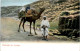 Bedouin En Voyage - Persone