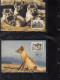 FINNLAND  1202-1205, 4 MK, WWF, Weltweiter Naturschutz: Polarfuchs, 1992 - Unused Stamps