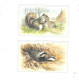 SET  OF 6 POSTCARDS   BRITISH WILD LIFE - Collections & Lots