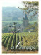 Vignes - En Champagne - Eglise - CPM - Carte Neuve - Voir Scans Recto-Verso - Weinberge