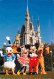 Parc D'Attractions - Walt Disney World - Cinderella Castle - Donald Duck - Dingo - Minnie - Mickey Mouse - Pluto - CPM - - Disneyworld